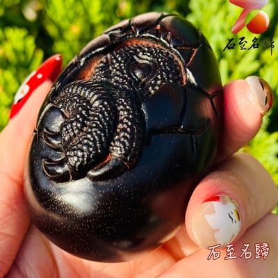 天然 印度小葉紫檀高油密滿金星樹心料 湘工手作【厚積薄發，破殼成龍】6