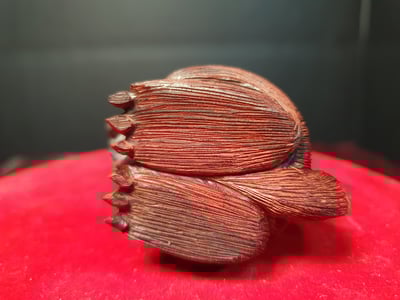 印度小葉紫檀【代代數錢】6