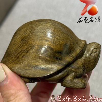 金絲楠木小葉楨楠陰沉綠料雕刻【長壽龜】歲月的祝福，平安的延續1