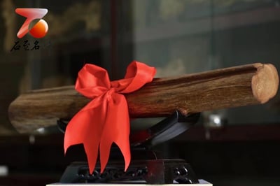 精選百年加里曼丹沉香 實心高密度【沉香鎮宅】3