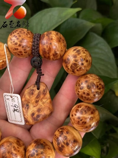 太行崖柏極品雲紋纓子瘤20mm手珠 9號3