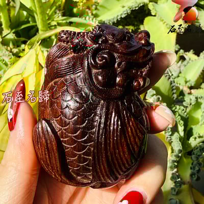 天然 印度小葉紫檀高油密爆滿金星樹心料 湘工手作【納福龍鯉】6