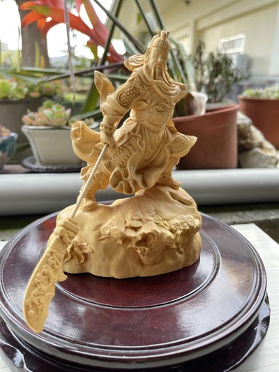 台灣現貨 實體店鋪 雲南大葉黃楊【威武關公】1