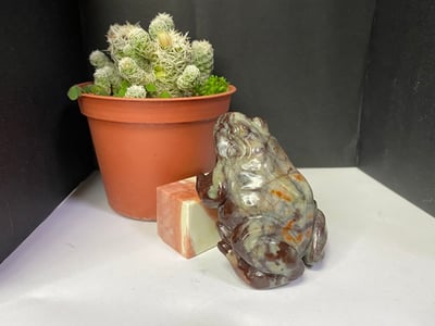 壽山石【萬世不竭-青蛙】2