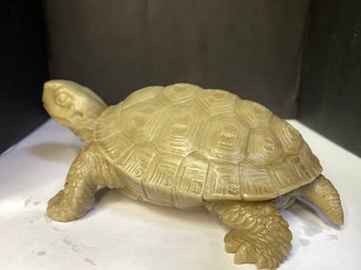 壽山峨嵋石【長壽龜】2