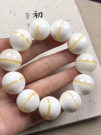 頂級金絲【硨磲手鍊】2