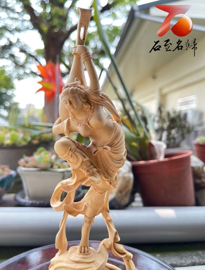 台灣現貨 實體店鋪 雲南大葉黃楊【胡風-西域美女】7