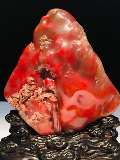 牛角凍雞血大紅袍【映山紅】4