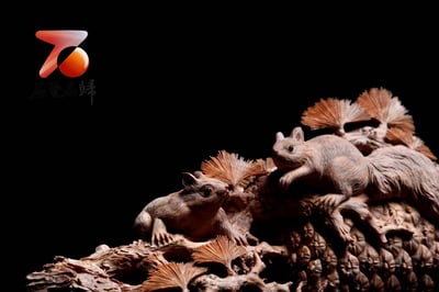 印度老山檀香【多子多福】2