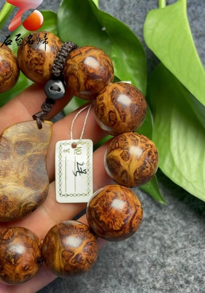 極品收藏 太行崖柏雪花瘤20mm手珠 2號4