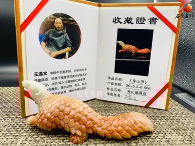 壽山峨嵋石【穿山甲-白首赤甲，護運開祥】王逸文老師純手工雕刻6