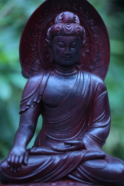 印度小葉紫檀老料 大口徑清刀【阿彌陀佛】6