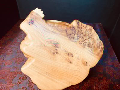 太行崖柏滿瘤疤龍龜3