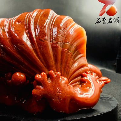老撾滿朱砂純手工精雕收藏品【海韻童夢・豚伴芳華】6