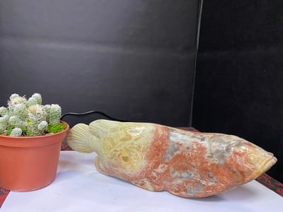 壽山旗降石【龍魚】2