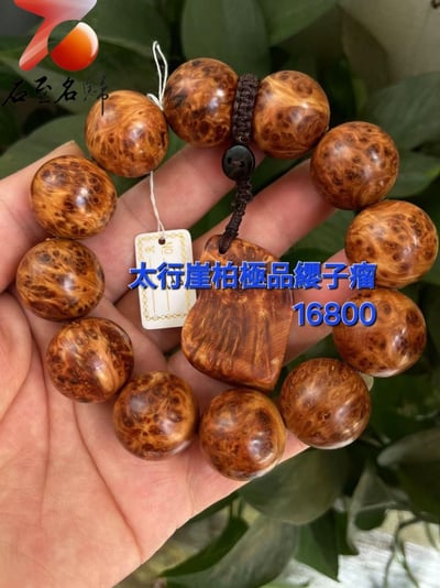 太行崖柏極品雲紋纓子瘤20mm手珠 5號1