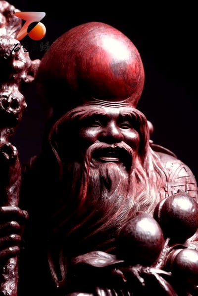 印度小葉紫檀【南極仙翁】3