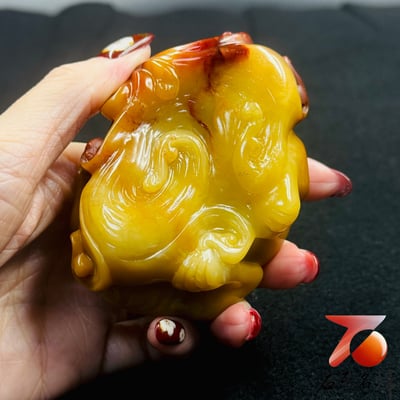 壽山石純手工精雕【金瑞擁財・富貴滿堂】6
