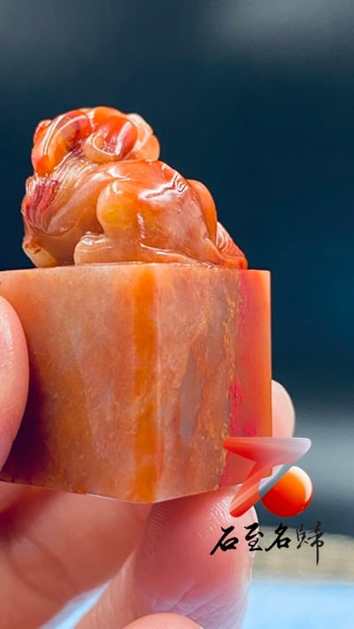 巴林芙蓉凍雞血石印章4