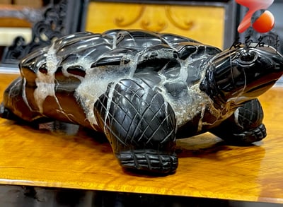 龜甲石重量級1.43公斤作品 手工雕烏龜 【上古巨龜】7