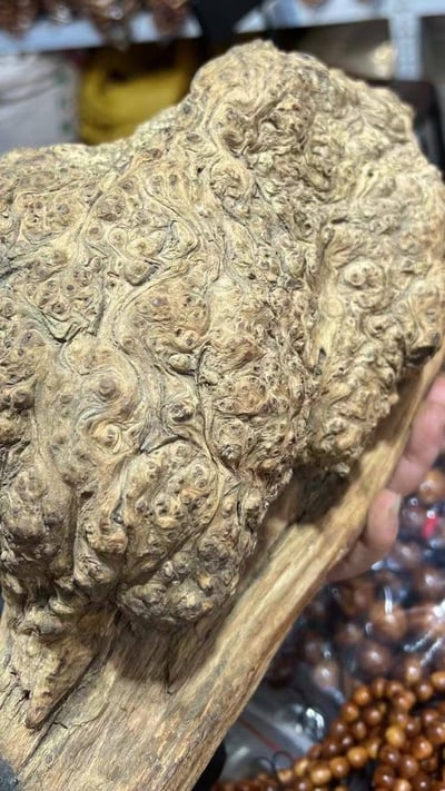 限量五串 太行陳化老料360度爆滿纓子瘤 秒沉級手珠18mm×13顆6