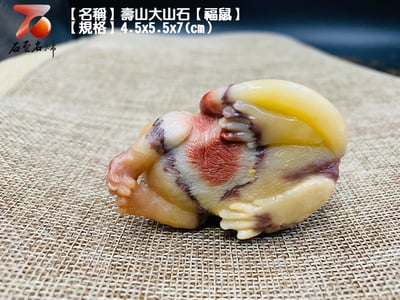 壽山大山石【福鼠】5