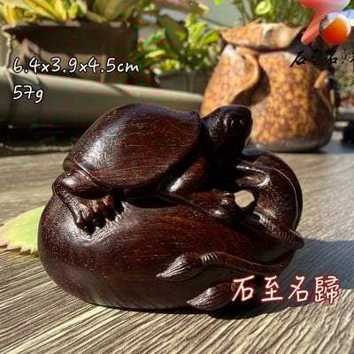 天然 印度小葉紫檀高油密爆滿金星樹心料 湘工手作【安宅瑞龜】1