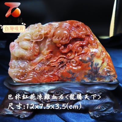 巴林紅花凍雞血【龍騰天下】1