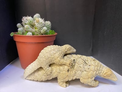 壽山花坑石【無堅不摧-穿山甲】1