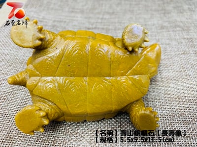 壽山峨嵋石【長壽龜】6