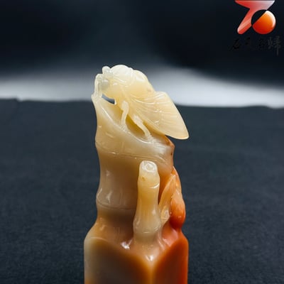極品壽山芙蓉石方印【蟬鳴報喜・節節高升】5