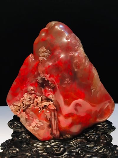 牛角凍雞血大紅袍【映山紅】7