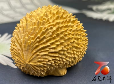 台灣現貨 實體店鋪 雲南大葉黃楊【刺蝟手把件】3