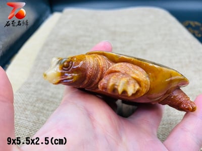 老撾田黃石【富甲天下-甲魚】2