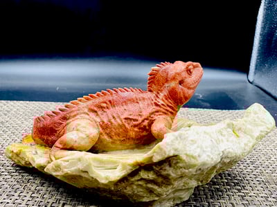 壽山老岭石【蜥蜴-吸億】5