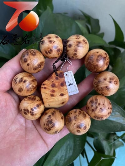 精選正宗太行崖柏雀眼瘤疤11