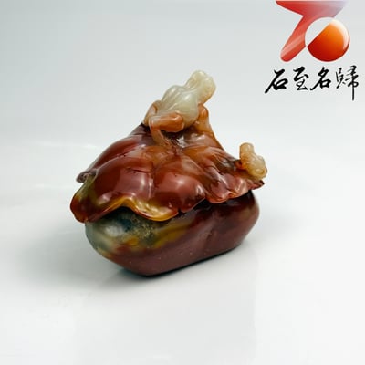 老撾石手工精雕 張國民老師作品【雙蛙戲荷・呱呱來財】6