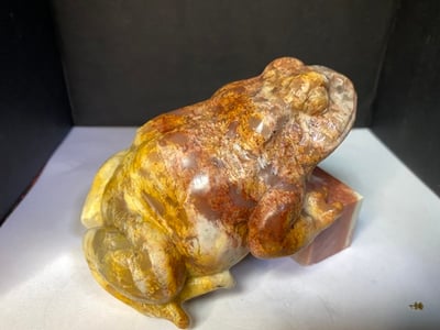 壽山瑪瑙石【紅紅火火-呱呱來財】5