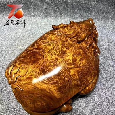 四川雅安小葉楨楠枯木老料 龍膽+瘤疤 大龍龜 重量級雕件 長50公分1