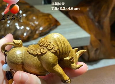 貴州金絲楠小葉楨楠【金牛送財】2