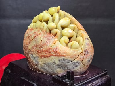 青田石【茁壯成長】2