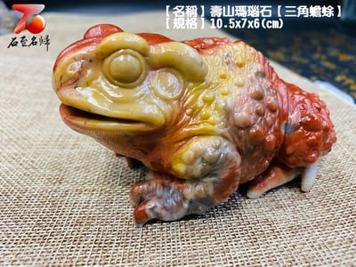 壽山瑪瑙石【紅紅火火-三角蟾蜍】3