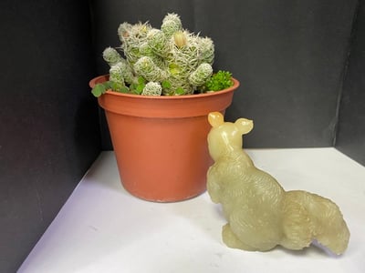 壽山石【送福松鼠】4