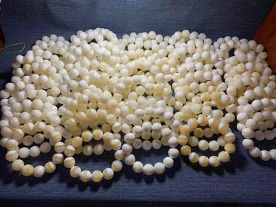 頂級金絲【硨磲手鍊】5