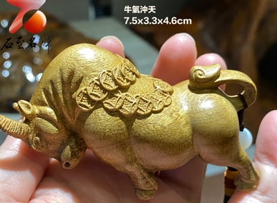 貴州金絲楠小葉楨楠【金牛送財】1