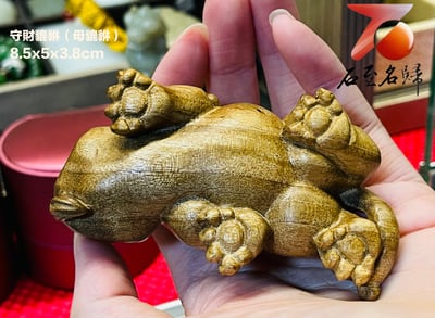 貴州金絲楠小葉楨楠【守財貔貅】（母貔貅）5