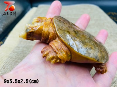 老撾田黃石【富甲天下-甲魚】1