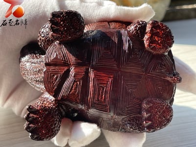 印度小葉紫檀高油密二膘料【鎮宅象龜】10