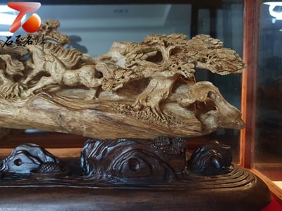 印尼索隆高品質沉香【馬到成功】3