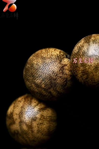 老料柬埔寨菩薩棋虎斑紋沉香 16mm×14顆  重量22克+7